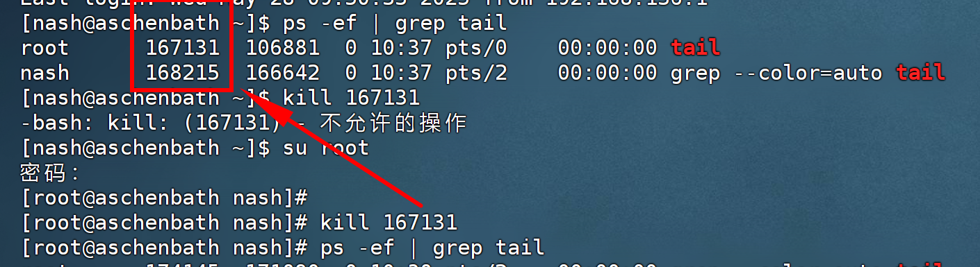 image-20250528104008171